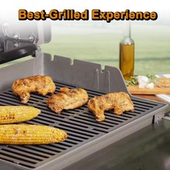 7638 Spirit Grill 23.8” x 17.5” 300, x 300