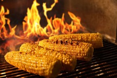Barbecue Grid 26 3/8×15 11/16in Grill for Rust Fire Place Universal BitWa