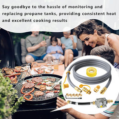 Upgraded 10Ft Upgraded Propane to Natural Gas Conversion Kit for Weber Genesis,