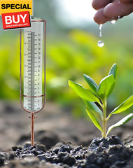 7″ Plastic Rain Gauge Replacement Tube, 8.25 x 2.25 x 1.75 inches Cold Resistanc
