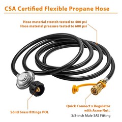 ArrogantF F271803 12ft Propane Hose with Regulator Fit for Big Buddy 3/8 12FT