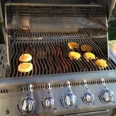 Grill Parts for Napoleon LEX 485, LEX 605, LEX 730, Mirage 485 605 Series Grills