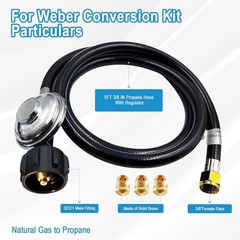 Natural Gas to Propane Conversion Kit for Weber Genesis or Genesis II Grill and