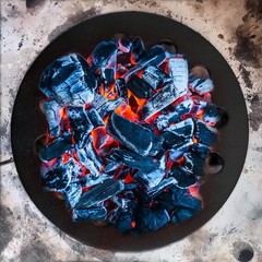 Cast Iron 7.5″ Bottom Fire Grate BBQ High Heat Charcoal Plate for Kamado Joe …