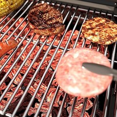 Stainless Steel Grill Grates for Nexgrill 4 Burner Models 17-19.5 Inch