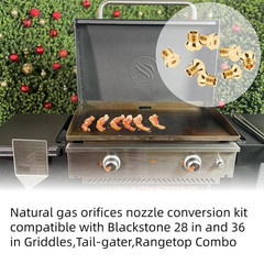 Propane to Natural Gas Conversion Kit – Universal Natural Gas Orifice & Nozzle K