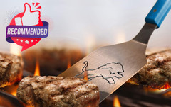 Nfl Detroit Lions Spirit Series 3-piece Bbq Set, Stainless Steel, 22″ X 9″ & Nfl