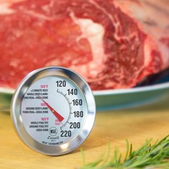 Escali AH1 Stainless Steel Oven Safe Meat Thermometer, Extra Analog Silver