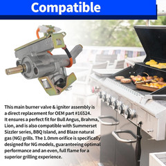 Gas Grill Main Burner Control Valve Igniter Assembly for Bull Angus Brahma Lion