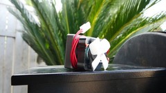 2 RPM Barbecue Auger Motor for Traeger/Pit Boss/Camp Chef Wood Pellet Grills